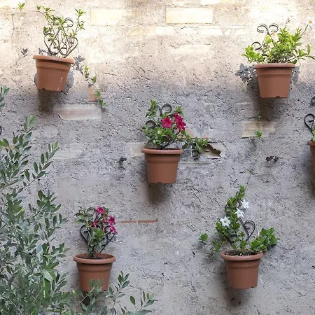 Colosseum Garden Rzym